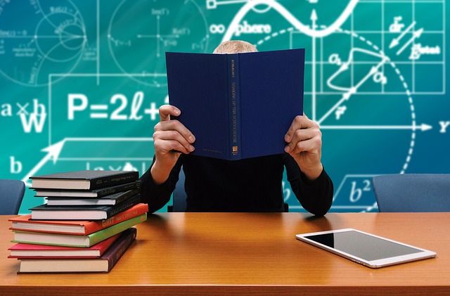 sopocka-2025-05-sopocka_studia-podyplomowe-kadry-i-place_9_3-Werka sopocka-2025-05 - sopocka_studia podyplomowe kadry i płace_9_3 - Werka.jpg