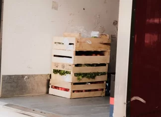 Jak zoptymalizować koszty eksploatacji floty dzięki odpowiedniej zabudowie 226-jak-zoptymalizowac-koszty-eksploatacji-floty-dzieki-odpowied.webp