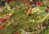 Utylizacja odpadów spożywczych a sezonowość biznesu – jak gastronomia radzi sobie z nagłymi skokami ilości odpadów? utylizacja odpadów spożywczych 1.jpg