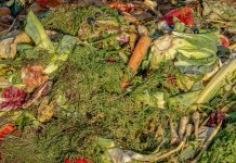 Utylizacja odpadów spożywczych a sezonowość biznesu – jak gastronomia radzi sobie z nagłymi skokami ilości odpadów? utylizacja odpadów spożywczych 1.jpg