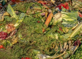 Utylizacja odpadów spożywczych a sezonowość biznesu – jak gastronomia radzi sobie z nagłymi skokami ilości odpadów? utylizacja odpadów spożywczych 1.jpg